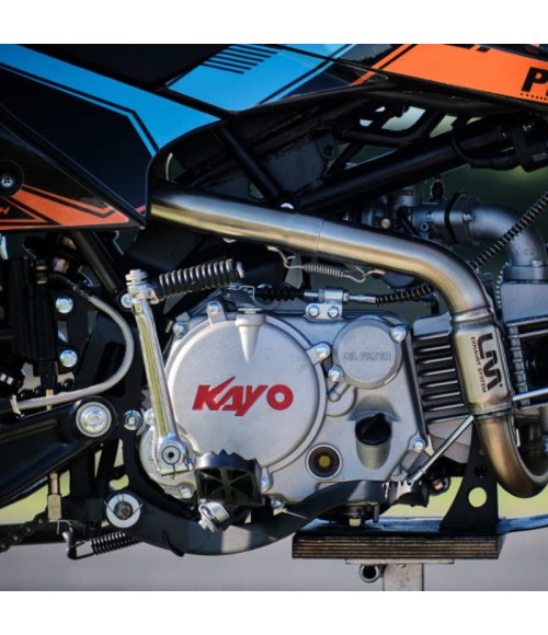 Pit Bike Kayo TD 160 MOTARD - 12/12 - Dettaglio Motore YX 160cc