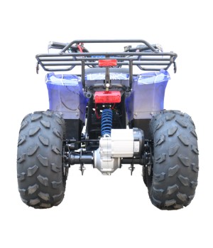 Quad Mini Quad Elettrico Compatto Motors E-ATV 1000w 48V Ruote 8 - Colore Blu - Vista Posteriore