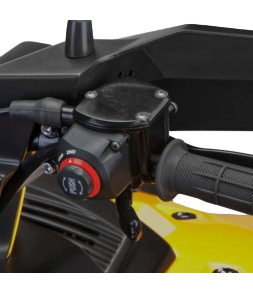 ATV Stels Guepard 850G - Vista Frontale Destra