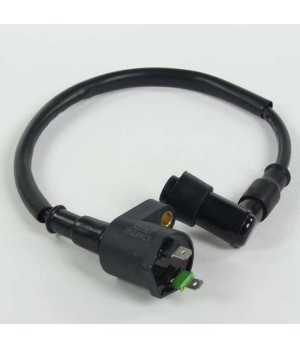 Bobina di accensione standard, per Pit Bike, Dirt Bike