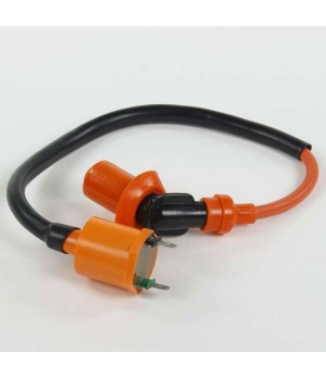 Bobina di accensione alta tensione APT per Pit Bike, Dirt Bike