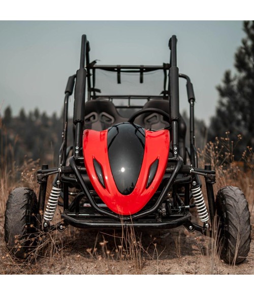 Buggy RTK 200cc Cambio CVT