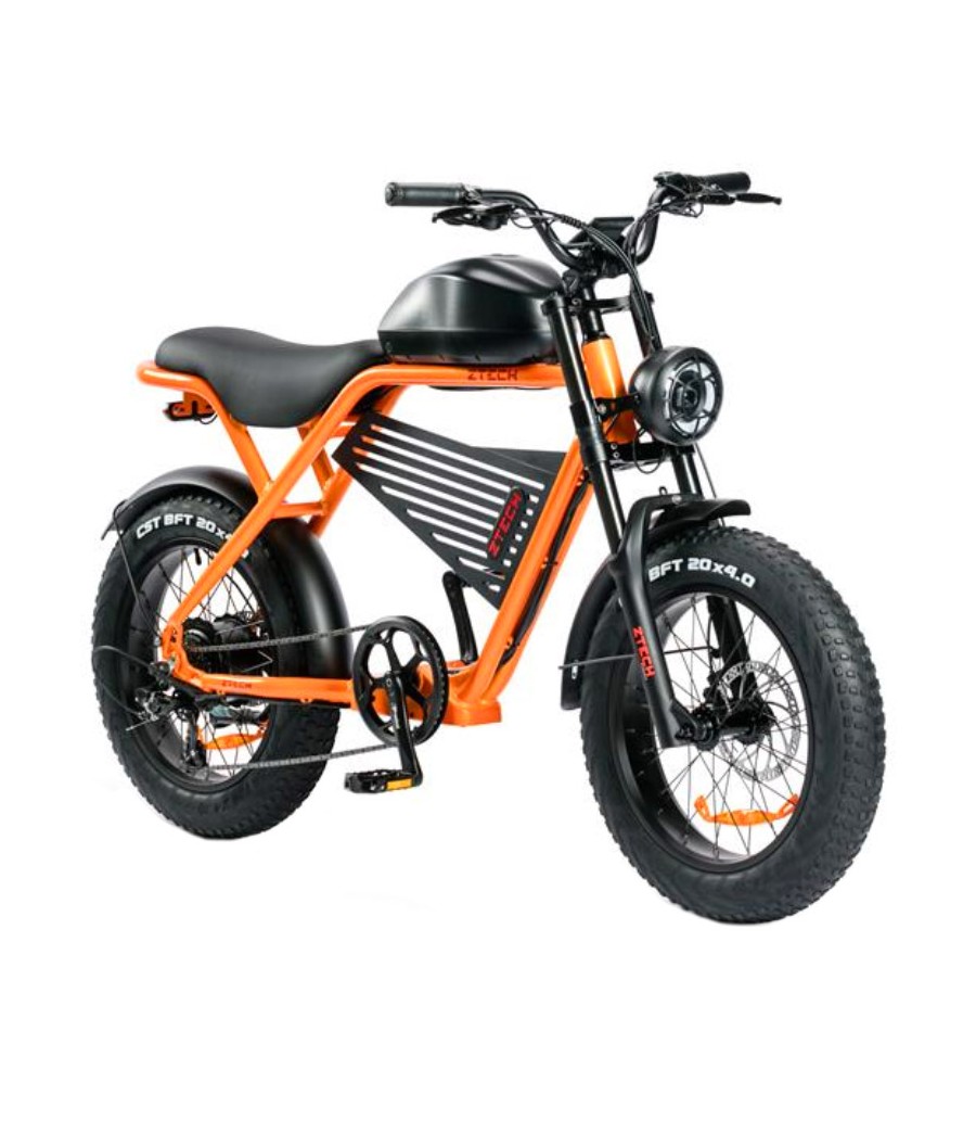 Bici Elettrica ZTECH ZT-75B LEGACY 250W 48V 12Ah su CompattoMotors