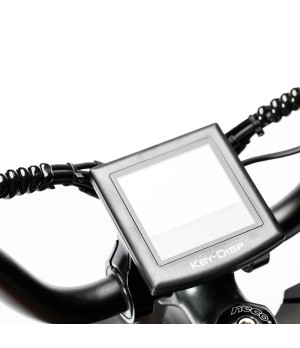 Bici Elettrica ZTECH ZT-75B LEGACY 4.0 250W - Dettaglio Display LCD Multifunzione