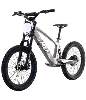 Bici Elettrica Apollo RXF EVO 750W 20" - Colore Grigio - Vista Frontale Sinistra