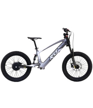 Bici Elettrica Apollo RXF EVO 750W 20" - Colore Grigio - Vista Laterale Destra