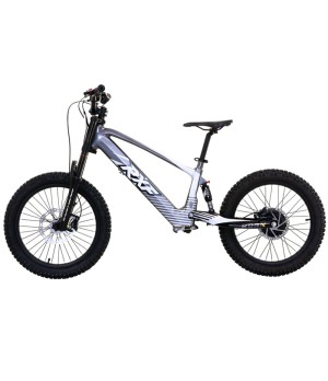 Bici Elettrica Apollo RXF EVO 750W 20" - Colore Grigio - Vista Laterale Sinistra