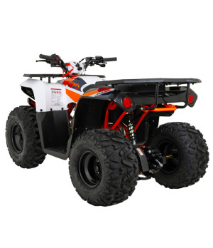 Quad Kayo AU 125cc Ruota 8" New - Vista Posteriore Sinistra