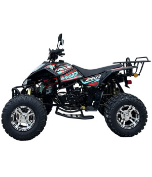 Quad Spitfire 250cc - Targabile - Vista Laterale Sinistra