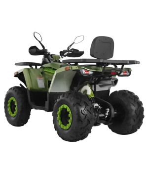 Quad NCX Mega Angry 250 CVT R10 - Colore Nero/Verde - Vista Posteriore Sinistra