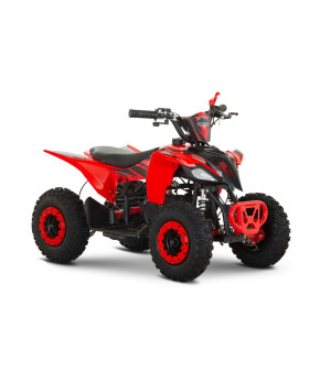 Mini Quad Compatto R6