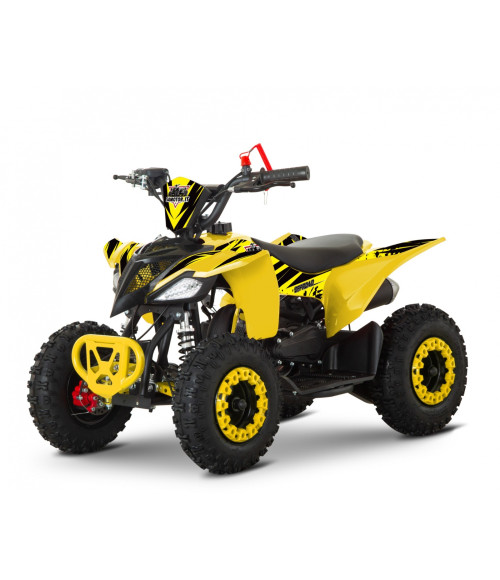 Mini Quad Compatto R6