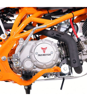 Pit Bike Ztech DBX1 140cc 17/14 - Dettaglio Motore Tao Motor