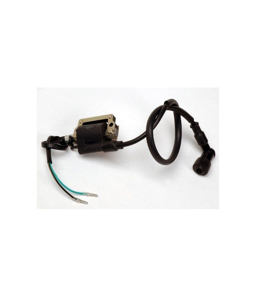 Bobina Di Accensione Per Minimoto, Dirt Bike, ATV E Quad - Ricambio Universale In Metallo E Plastica (Nero) - 3