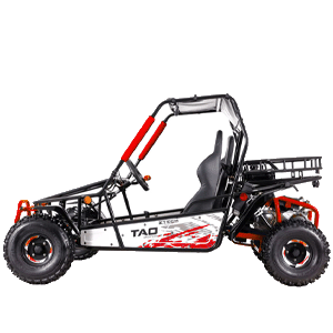 Catalogo Buggy Offroad per bambini, ragazzi e adulti su CompattoMotors