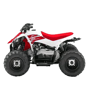 Catalogo MiniQuad per Bambini su CompattoMotors